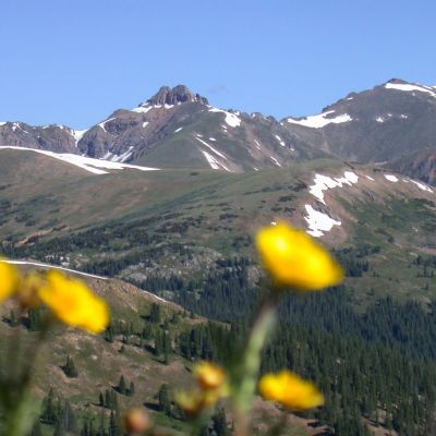 AU06  A  Mountains   Flowers   Loveland Pass